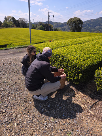 Jesse with a tea farmer during her travels in japan